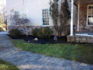 55 Yarmouth Landscaping